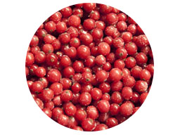 Red Currants IQF 1kg SpeedyBerry